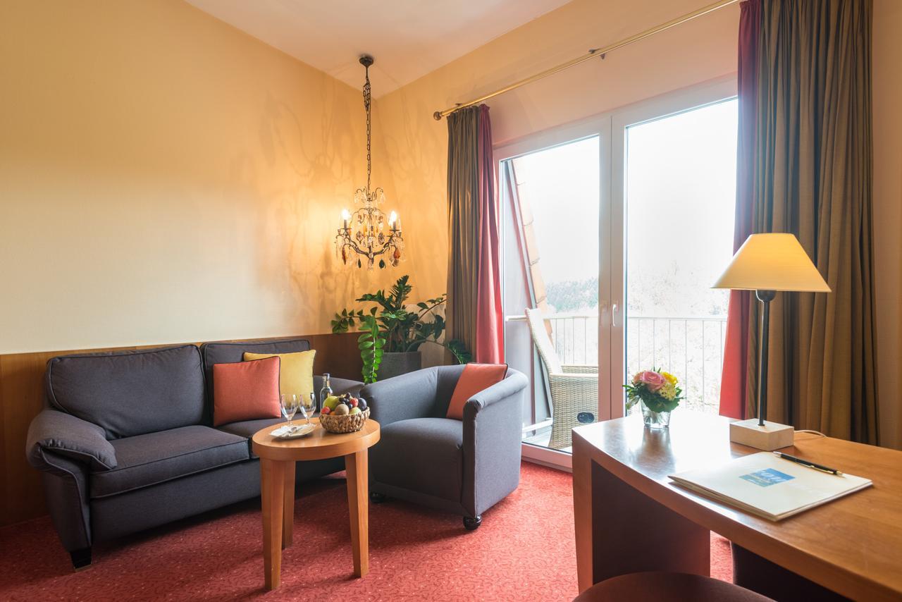 Hotel Heinz Höhr-Grenzhausen الغرفة الصورة